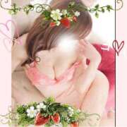 ヒメ日記 2026/04/17 10:47 投稿 仲田　聡子 東京ローズマリー