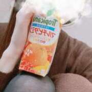 ヒメ日記 2026/02/03 11:31 投稿 くれあ 横浜シンデレラ（シンデレラグループ）