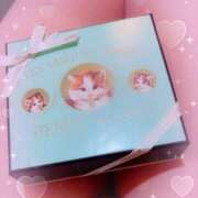 ヒメ日記 2024/12/14 01:47 投稿 倉沢　千春 東京ローズマリー