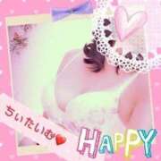 ヒメ日記 2024/12/15 01:47 投稿 倉沢　千春 東京ローズマリー