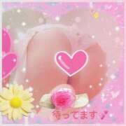 ヒメ日記 2024/12/19 07:17 投稿 倉沢　千春 東京ローズマリー