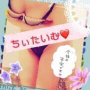 ヒメ日記 2024/12/21 12:07 投稿 倉沢　千春 東京ローズマリー