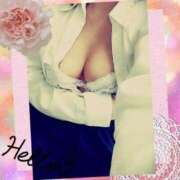 ヒメ日記 2024/12/24 07:17 投稿 倉沢　千春 東京ローズマリー