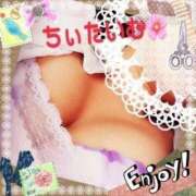 ヒメ日記 2024/12/25 01:47 投稿 倉沢　千春 東京ローズマリー