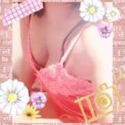 ヒメ日記 2024/12/27 01:47 投稿 倉沢　千春 東京ローズマリー