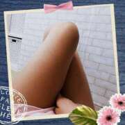 ヒメ日記 2025/04/16 01:37 投稿 倉沢　千春 東京ローズマリー