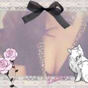 ヒメ日記 2025/04/16 07:17 投稿 倉沢　千春 東京ローズマリー