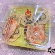 ヒメ日記 2025/04/16 18:17 投稿 倉沢　千春 東京ローズマリー