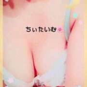 ヒメ日記 2025/05/06 01:37 投稿 倉沢　千春 東京ローズマリー