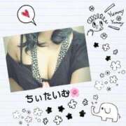 ヒメ日記 2025/05/10 12:08 投稿 倉沢　千春 東京ローズマリー