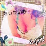 ヒメ日記 2025/05/13 01:47 投稿 倉沢　千春 東京ローズマリー