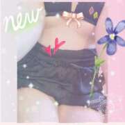 ヒメ日記 2025/05/14 07:17 投稿 倉沢　千春 東京ローズマリー