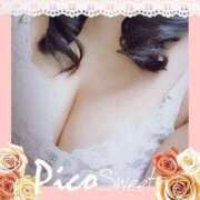 ヒメ日記 2025/07/06 07:07 投稿 倉沢　千春 東京ローズマリー