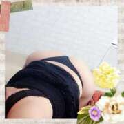 ヒメ日記 2025/08/03 01:47 投稿 倉沢　千春 東京ローズマリー