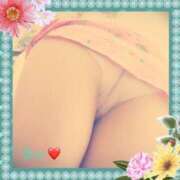 ヒメ日記 2025/08/21 01:47 投稿 倉沢　千春 東京ローズマリー