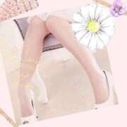 ヒメ日記 2025/08/28 01:47 投稿 倉沢　千春 東京ローズマリー