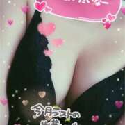 ヒメ日記 2025/08/31 12:08 投稿 倉沢　千春 東京ローズマリー