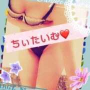 ヒメ日記 2025/09/20 01:37 投稿 倉沢　千春 東京ローズマリー