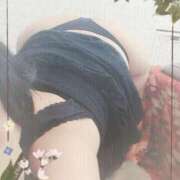 ヒメ日記 2025/09/21 12:07 投稿 倉沢　千春 東京ローズマリー