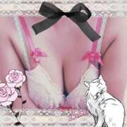 ヒメ日記 2025/11/08 12:07 投稿 倉沢　千春 東京ローズマリー