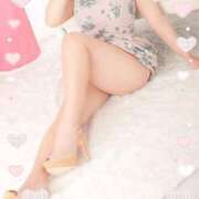 ヒメ日記 2025/11/20 01:37 投稿 倉沢　千春 東京ローズマリー