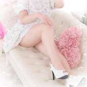 ヒメ日記 2025/11/23 12:07 投稿 倉沢　千春 東京ローズマリー