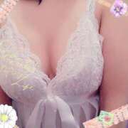 ヒメ日記 2025/12/04 01:37 投稿 倉沢　千春 東京ローズマリー