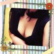 ヒメ日記 2025/12/06 01:37 投稿 倉沢　千春 東京ローズマリー