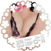 ヒメ日記 2025/12/21 09:37 投稿 倉沢　千春 東京ローズマリー