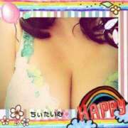 ヒメ日記 2025/12/24 01:37 投稿 倉沢　千春 東京ローズマリー