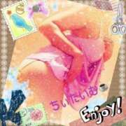 ヒメ日記 2026/01/25 12:07 投稿 倉沢　千春 東京ローズマリー