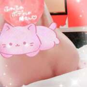 ヒメ日記 2026/02/22 01:37 投稿 倉沢　千春 東京ローズマリー