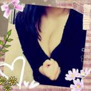 ヒメ日記 2026/02/26 12:07 投稿 倉沢　千春 東京ローズマリー