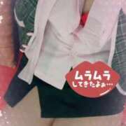 ヒメ日記 2026/02/27 15:07 投稿 倉沢　千春 東京ローズマリー