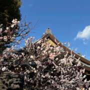 ヒメ日記 2026/03/01 12:07 投稿 倉沢　千春 東京ローズマリー