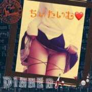 ヒメ日記 2026/03/04 01:37 投稿 倉沢　千春 東京ローズマリー