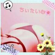 ヒメ日記 2026/03/10 01:37 投稿 倉沢　千春 東京ローズマリー