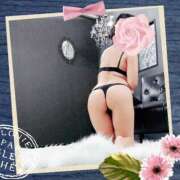 ヒメ日記 2026/03/18 01:37 投稿 倉沢　千春 東京ローズマリー