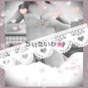 ヒメ日記 2026/04/01 01:37 投稿 倉沢　千春 東京ローズマリー