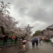 ヒメ日記 2026/04/02 12:07 投稿 倉沢　千春 東京ローズマリー