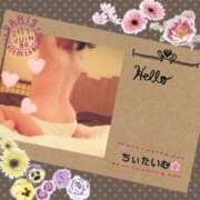 ヒメ日記 2026/04/06 01:37 投稿 倉沢　千春 東京ローズマリー