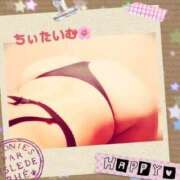 ヒメ日記 2026/04/12 01:37 投稿 倉沢　千春 東京ローズマリー