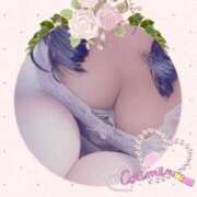 ヒメ日記 2026/04/15 07:07 投稿 倉沢　千春 東京ローズマリー