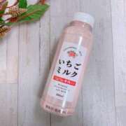 ヒメ日記 2026/04/19 12:07 投稿 倉沢　千春 東京ローズマリー