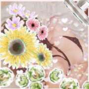 ヒメ日記 2026/04/19 15:07 投稿 倉沢　千春 東京ローズマリー