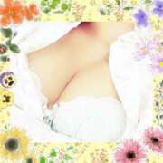 ヒメ日記 2026/05/08 12:07 投稿 倉沢　千春 東京ローズマリー