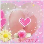 ヒメ日記 2026/05/20 07:07 投稿 倉沢　千春 東京ローズマリー