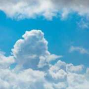 ヒメ日記 2025/07/18 06:37 投稿 菅野　花江 東京ローズマリー