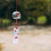 ヒメ日記 2025/08/17 09:17 投稿 菅野　花江 東京ローズマリー