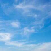 菅野　花江 おはようございます 東京ローズマリー